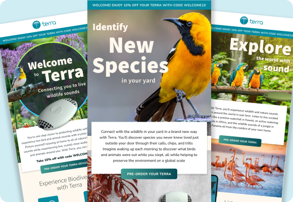 Terra HTML Emails